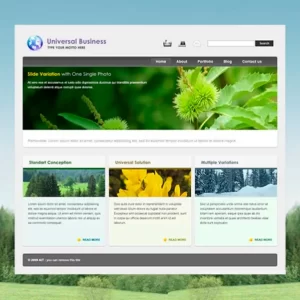 AitThemes Universal Business WordPress Theme