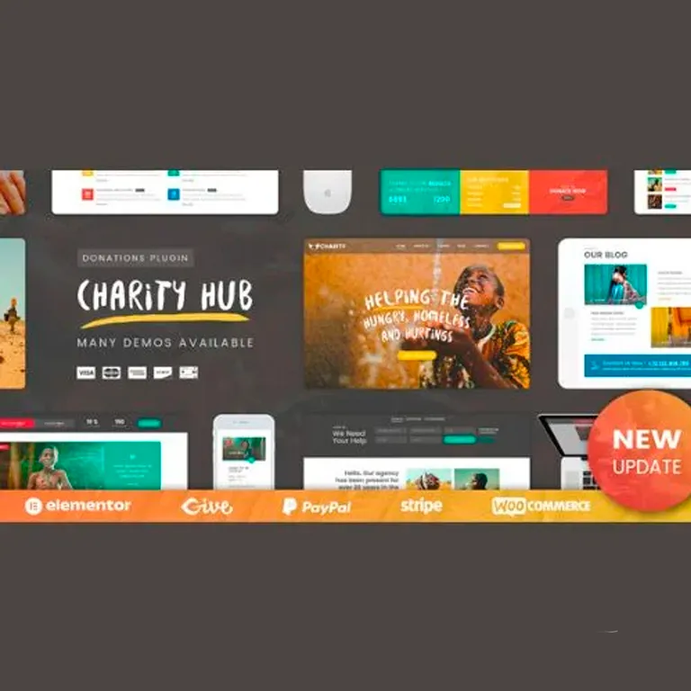 Charity Foundation Charity Hub WP Theme 1 Charity Foundation Charity Hub WP Theme