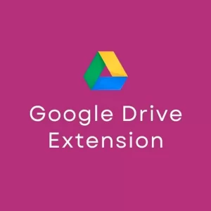 Download Monitor Google Drive Extension