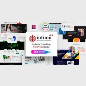Intime Business Consulting Theme