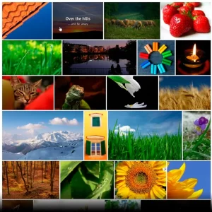 Justified Image Grid Premium WordPress Gallery