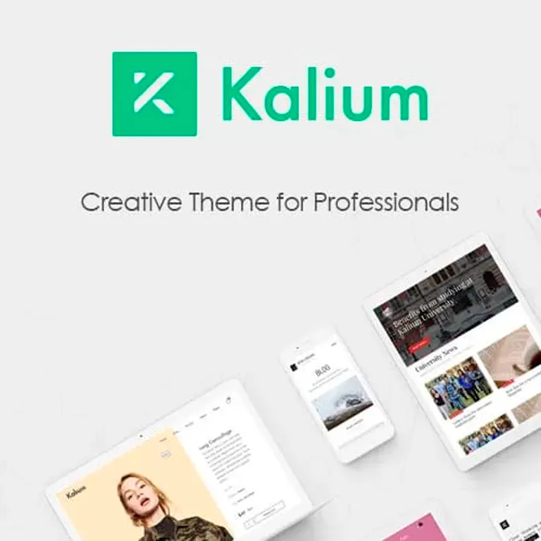 Kalium Creative Theme for Professionals 1 Kalium Creative Theme for Professionals