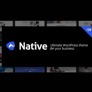 Native Stylish Multi Purpose Creative WP Theme