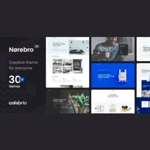 Norebro Creative Portfolio Theme for Multipurpose Usage