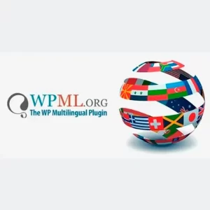 WPML String Translation Addon