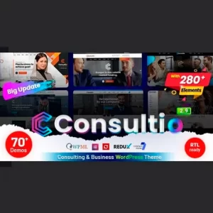 Consultio Corporate Consulting WordPress Theme