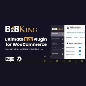 B2BKing The Ultimate WooCommerce B2B and Wholesale