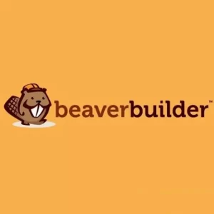 BEAVER THEMER WordPress Plugin Addon