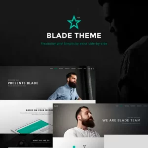 Blade Responsive Multi Functional Theme