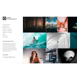 CSSIgniter Lense Theme