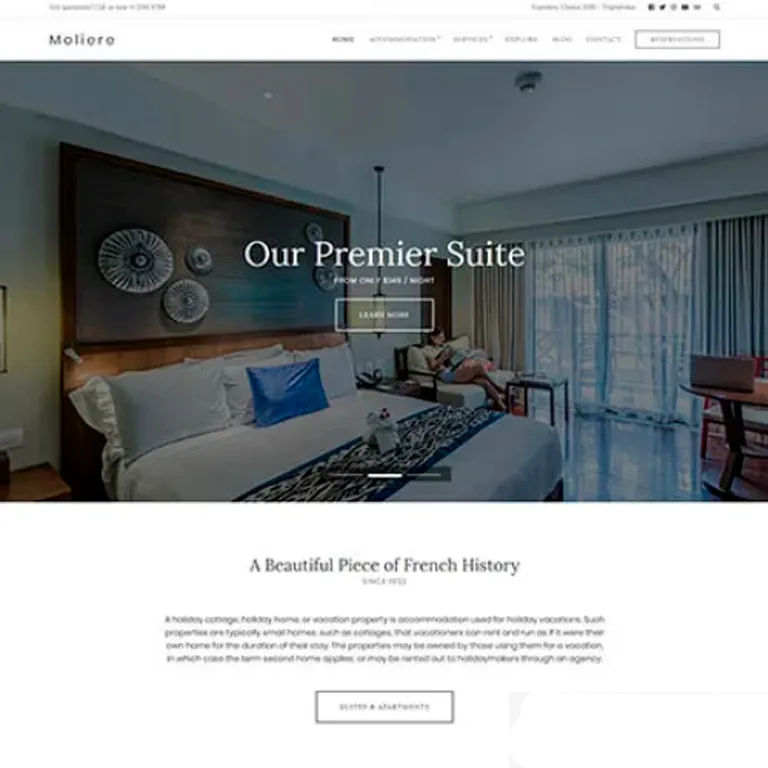 CSSIgniter Moliere WordPress Theme 1 CSSIgniter Moliere WordPress Theme