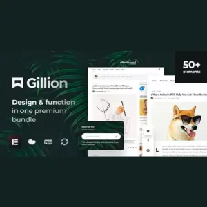 Gillion Multi Concept Blog Magazine y Shop AMP Theme