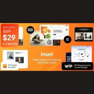 Inset Digital Agency and IT Services Theme