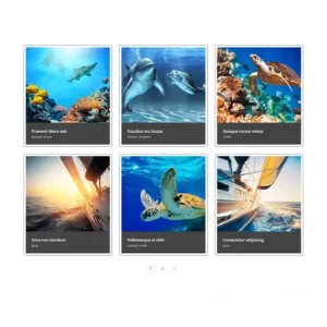 OceanWP Portfolio Plugin
