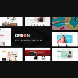 Orson Innovative Ecommerce Theme for Online Stores