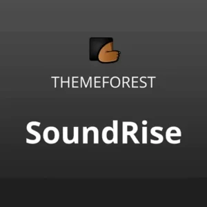 SoundRise Music and Artist Theme