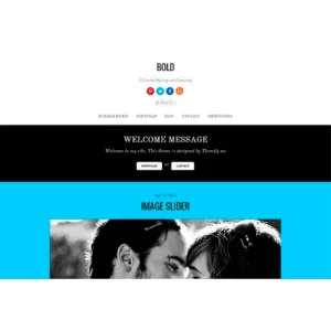 Themify Bold Premium Theme