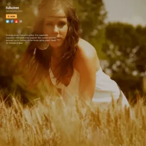 Themify Fullscreen Premium WordPress Theme