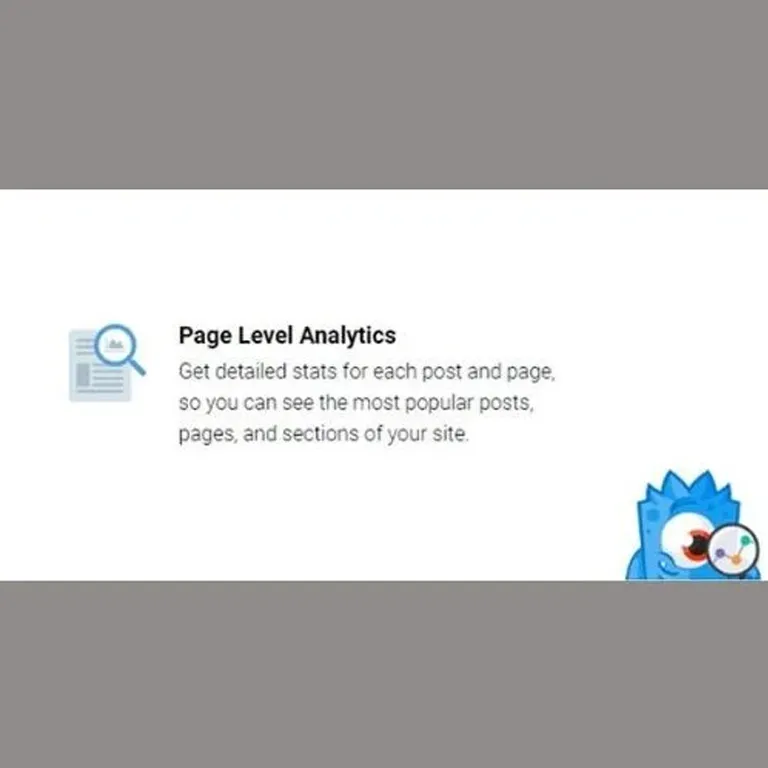 MonsterInsights Page Insights Addon 1 MonsterInsights Page Insights Addon