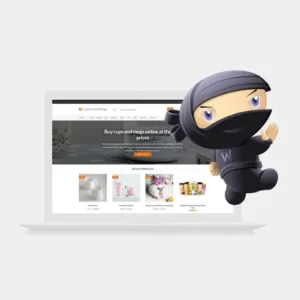 AliDropship Woo Plugin