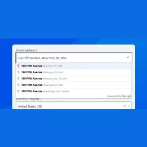 Google Address Autocomplete for WooCommerce