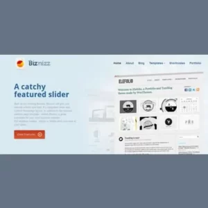 WooThemes Biznizz Premium Theme