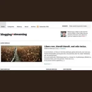 WooThemes Blogging Stream Premium Theme