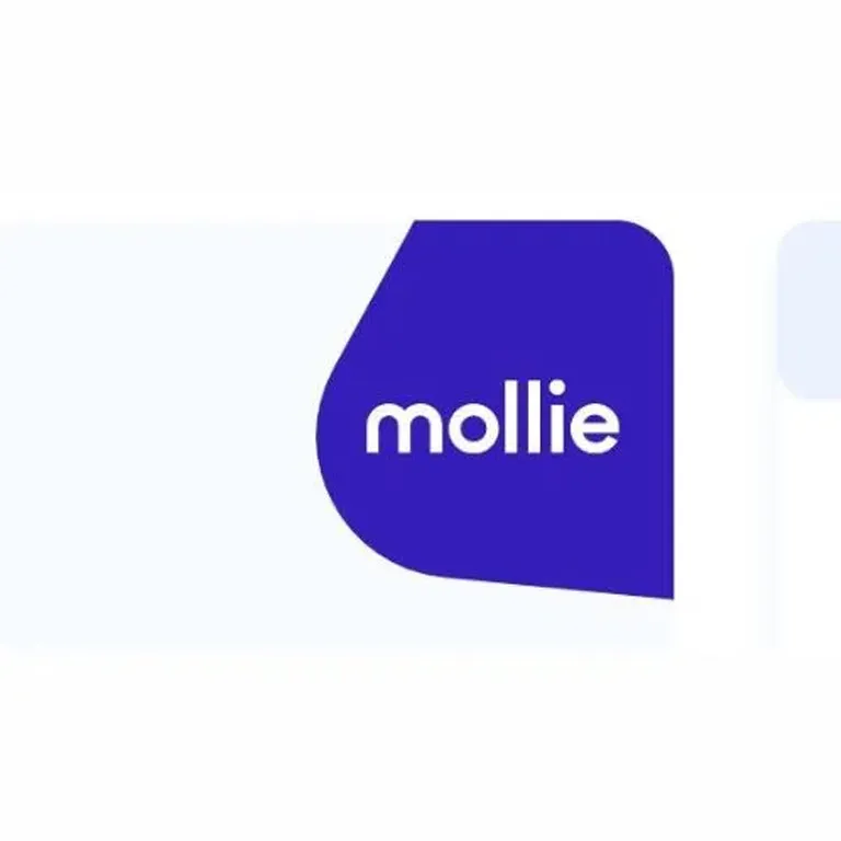 ARMember Mollie Payment Gateway Addon 1 ARMember Mollie Payment Gateway Addon