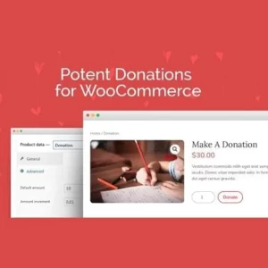 Potent Donations For Woocommerce Wp Zone