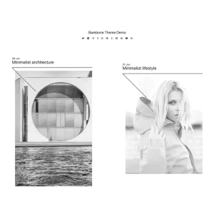 Barebone Brutalist Theme WordPress