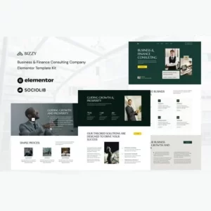 Bizzy Business and Finance Consulting Company