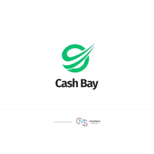 Cash Bay Banking and Payday Loans Theme