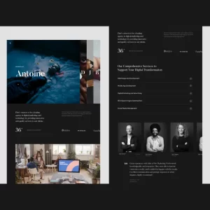 Flen Creative Agency and Personal Portfolio Theme