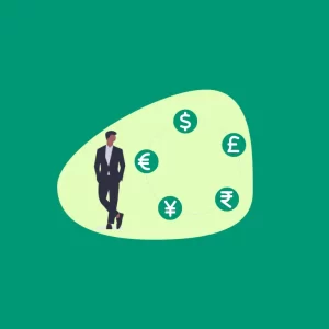 Get Paid Multi Currency Addon