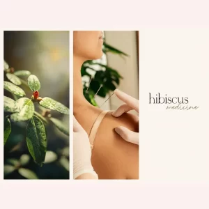 Hibiscus Alternative Medicine and Organic Shop Theme