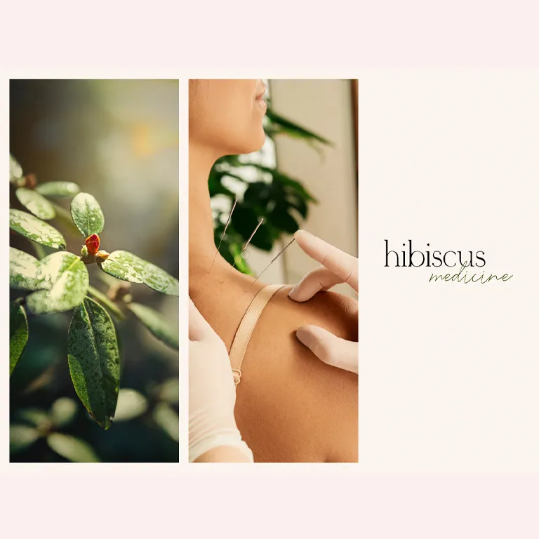 Hibiscus Alternative Medicine and Organic Shop Theme 1 Hibiscus Alternative Medicine and Organic Shop Theme