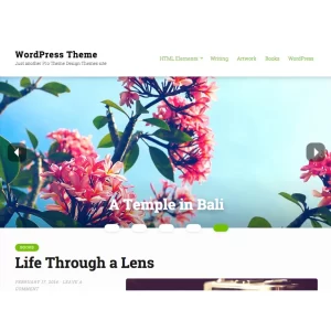 Mirror Theme by Pro Theme Design
