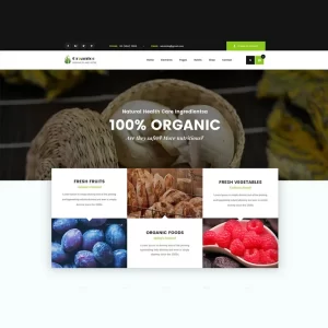 Ozganiko A Organic Store And Food Shop Theme