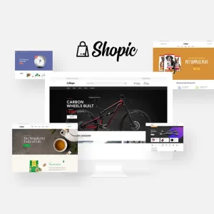 Shopic Multistore WooCommerce Theme
