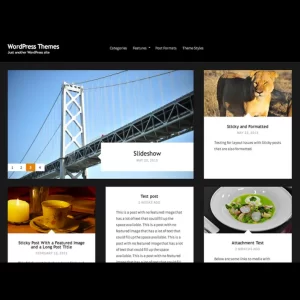 Vision by Pro Theme Design