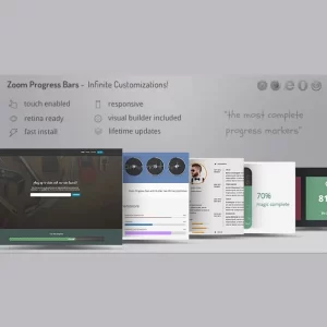 Zoom Progress Bars WordPress Plugin
