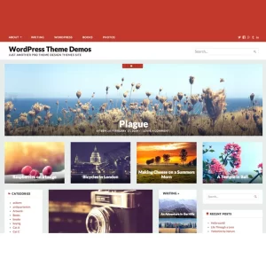 Chronicle Theme